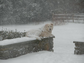 Buried under an inch of snow and couldn’t be happier about it!